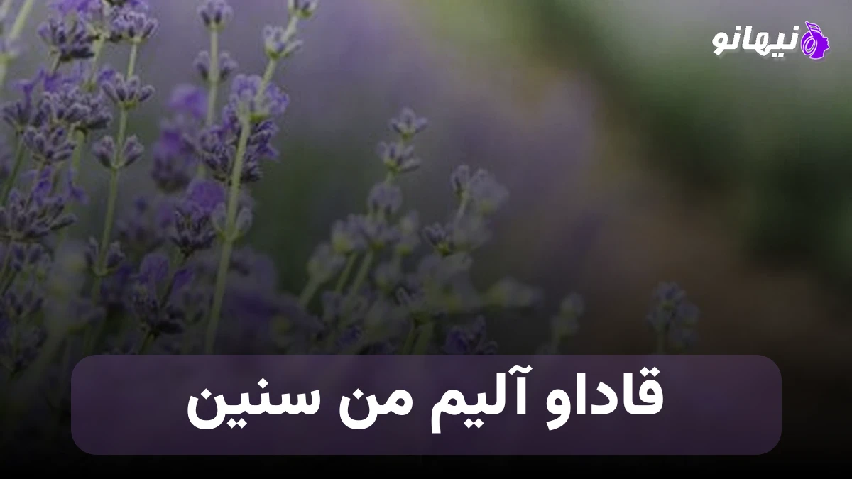 دانلود آهنگ قاداو آلیم من سنین شکردی جاندی یار من سنه قربان کسیم ساواش